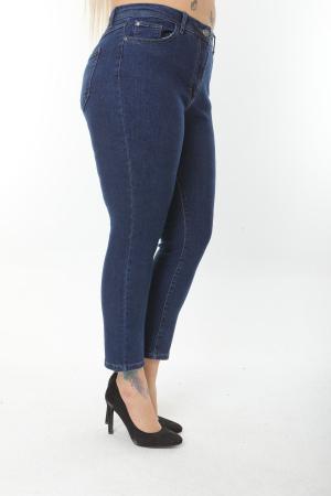 Blue Plus Size Jeans