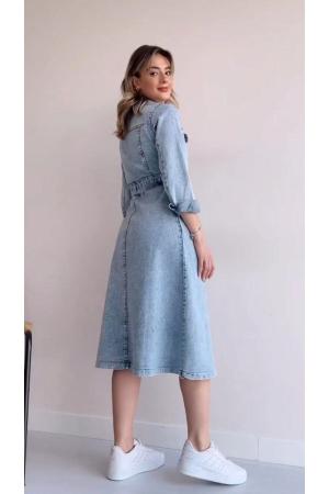 Premium Denim Dress