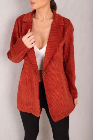 Women's Velvet Jacket